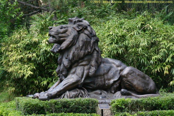 Lion statue at the entrance