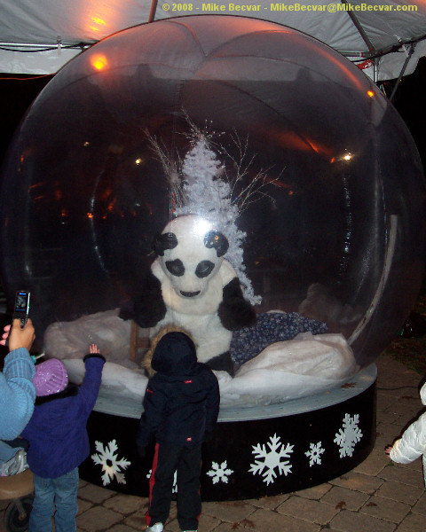 Panda inside the snow globe