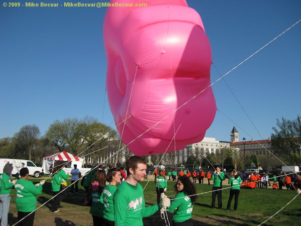 Cherry Blossom Balloon