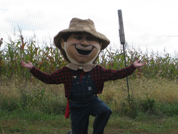 Mike working at Cox Farms